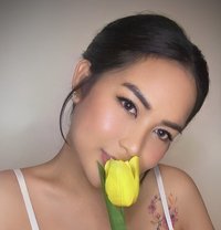 YourMeltingPoint (Independent) - puta in Kuala Lumpur