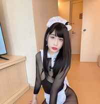 Now in SH - Transsexual escort in Shanghai