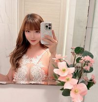Updated Profile Back in Taipei - Transsexual escort in Taipei