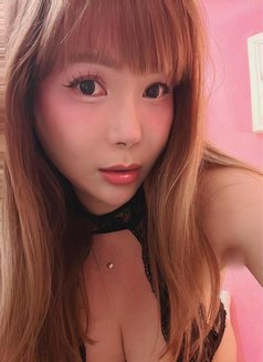 Updated Profile Back in Taipei - Transsexual escort in Taipei Photo 19 of 27