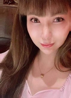 Updated Profile Back in Taipei - Transsexual escort in Taipei Photo 21 of 27