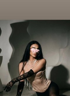Ur Baby Doll - Transsexual escort in Tunis Photo 2 of 5