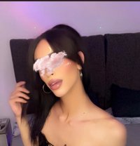 Ur Baby Doll - Transsexual escort in Tunis