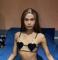 Urfavfemcrossdress - Transsexual escort in Phuket