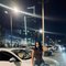 Ursula - escort in Dubai Photo 1 of 15