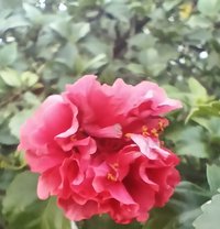 Usama - Male adult performer in Islamabad