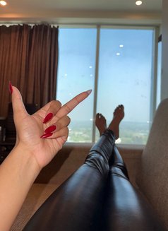 V.I.P AMRITSAR 𝟲𝟐𝟴𝟰𝟐𝟲𝟯𝟳𝟰𝟳 - escort in Amritsar Photo 2 of 3
