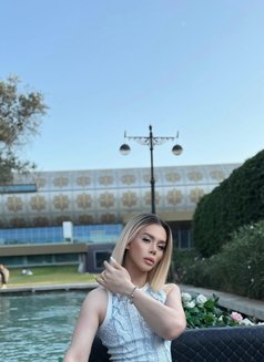 Valen Xxl Vip 100% - Transsexual escort in İstanbul Photo 20 of 23