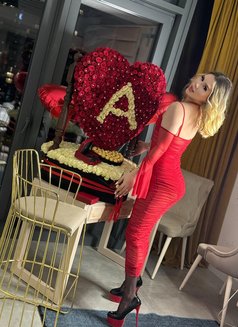 Valen Xxl Vip 100% - Transsexual escort in İstanbul Photo 4 of 22