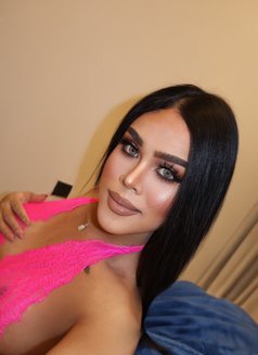 Valentina new - Transsexual escort in Al Manama Photo 9 of 12