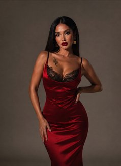 Valentina Saint-Claire(Elite Courtesan ) - Transsexual escort in Kuala Lumpur Photo 22 of 26