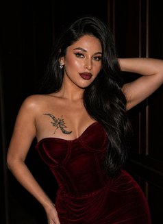 Valentina Saint-Claire(Elite Courtesan ) - Transsexual escort in Kuala Lumpur Photo 29 of 29