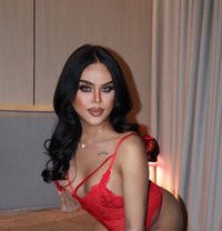 Coco big top 69 - Transsexual escort in Riyadh Photo 12 of 13