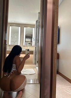 Sofia Latina 🇧🇷 - escort in Dubai Photo 13 of 14