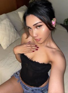 Valerie Pretty Ladyboy with hard dick - Transsexual escort in Bali Photo 10 of 10