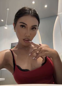 Valerie the cutest trans girl - Transsexual escort in Bali Photo 8 of 14