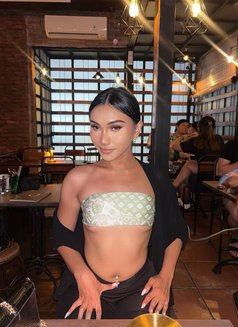 Valerie the cutest trans girl - Transsexual escort in Bali Photo 13 of 14