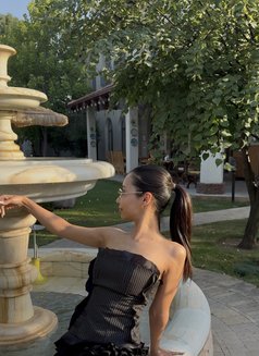 Lera HOT 2 days - escort in Dubai Photo 3 of 13