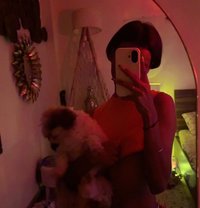 Vampayy - Acompañantes transexual in New Delhi