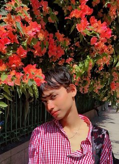 Vampayy - Acompañantes transexual in New Delhi Photo 7 of 15