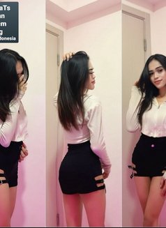 Vancca Ts - Transsexual adult performer in Jakarta Photo 3 of 3