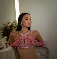 Vanessa_For GFE Lovers - escort in Dubai