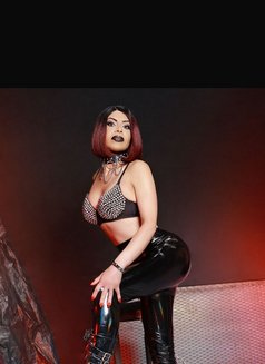 Vanessa - Acompañantes transexual in Doncaster Photo 17 of 19