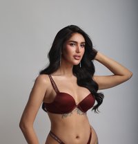 Vanessa Russel - Acompañantes transexual in Manila