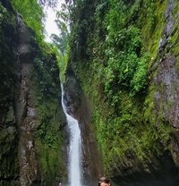 Vanessanini - puta in Rotterdam