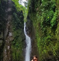 Vanessanini - puta in Rotterdam