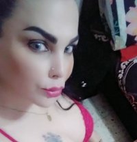 Vanessasexy - Transsexual escort in Algiers