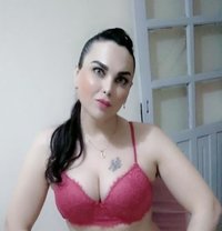 Vanessasexy - Transsexual escort in Algiers