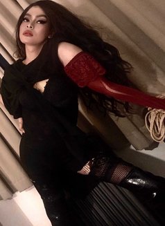 vanessaWorldwide Dominant Top - Acompañantes transexual in Singapore Photo 13 of 19