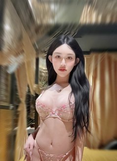 Vani - Transsexual escort in Ho Chi Minh City Photo 3 of 6