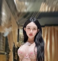 Vani - Transsexual escort in Ho Chi Minh City