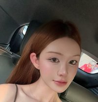 Vani - Transsexual escort in Ho Chi Minh City