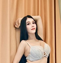 Vania Gabrellya - Transsexual escort in Johor Bahru