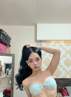 Vania - Transsexual escort in Bali Photo 4 of 5