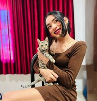 Vanshika - Acompañantes transexual in Rajkot