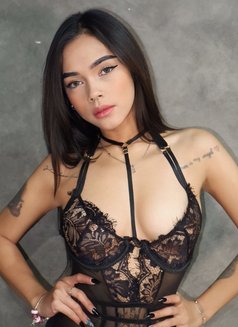 VARA HOT GIRL IN JTOWN - escort in Jakarta Photo 12 of 19