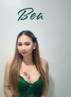 Variety Massage With Happy Ending - escort in Cebu City Photo 16 of 29