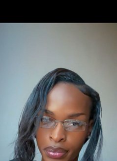Varshii - Transsexual escort in Nairobi Photo 3 of 3