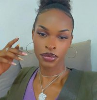 Carmilla - Transsexual escort in Nairobi