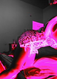 Veena new in Gruba - escort in Muscat Photo 15 of 15