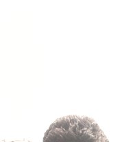 Veera Gangadhar - Male escort in Hyderabad