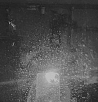 Veiny Cock - Male escort in Chandigarh