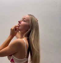 Velki Young Dominant Verify Service - puta in Belfast