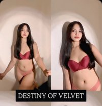 Velvet Blooms Mnl - escort in Manila