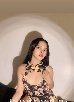 Velvet Blooms Mnl - puta in Manila Photo 15 of 28