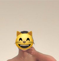 Velvet Fox for Cam and Real Meet - escort in Chennai